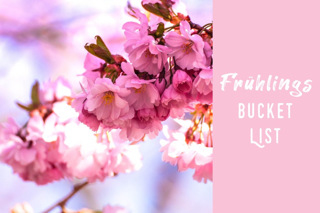 Frühlings Bucket List 2025